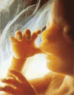 Disposizioni in materia di riconoscimento dei figli naturali.