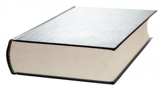 Regolamento in materia di societa' per l'esercizio di attivit...