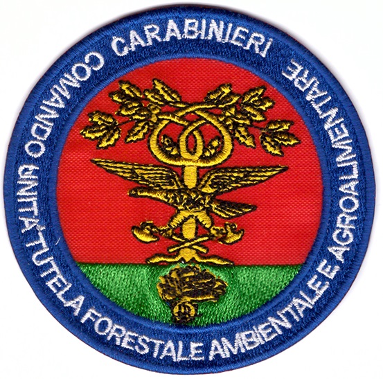 L’istituto del trasferimento del militare per situazioni stra...