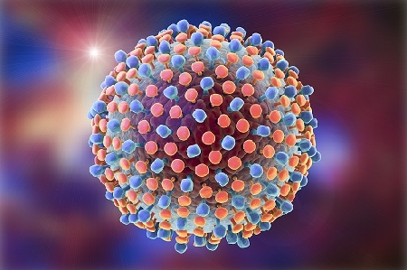 La moglie infetta da HCV. Il marito lamenta che la struttura ...