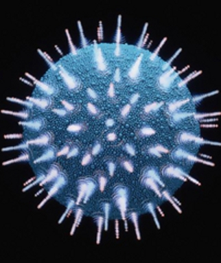La responsabilità omissiva per contagio da trasfusioni.