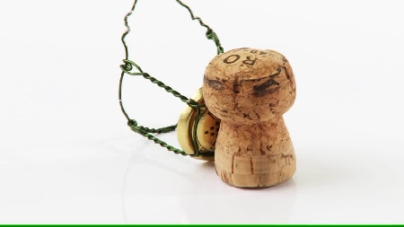 Il tappo di una bottiglia di spumante aperta dagli alunni di ...