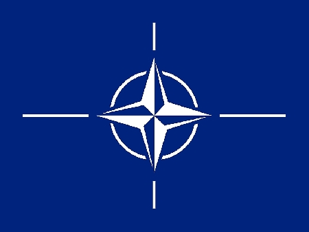 Nato: 2011: a year in review