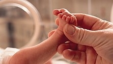 Assegno    di    natalità    di    cui    all’articolo    23-...