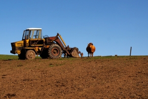 Trasferimento di fondi rustici - Agevolazione prevista dall'a...