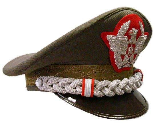 Ordinamento militare.  Giudizio di avanzamento degli ufficial...