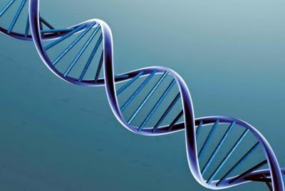 E' legittimo prelevare il DNA all'insaputa dell'i...