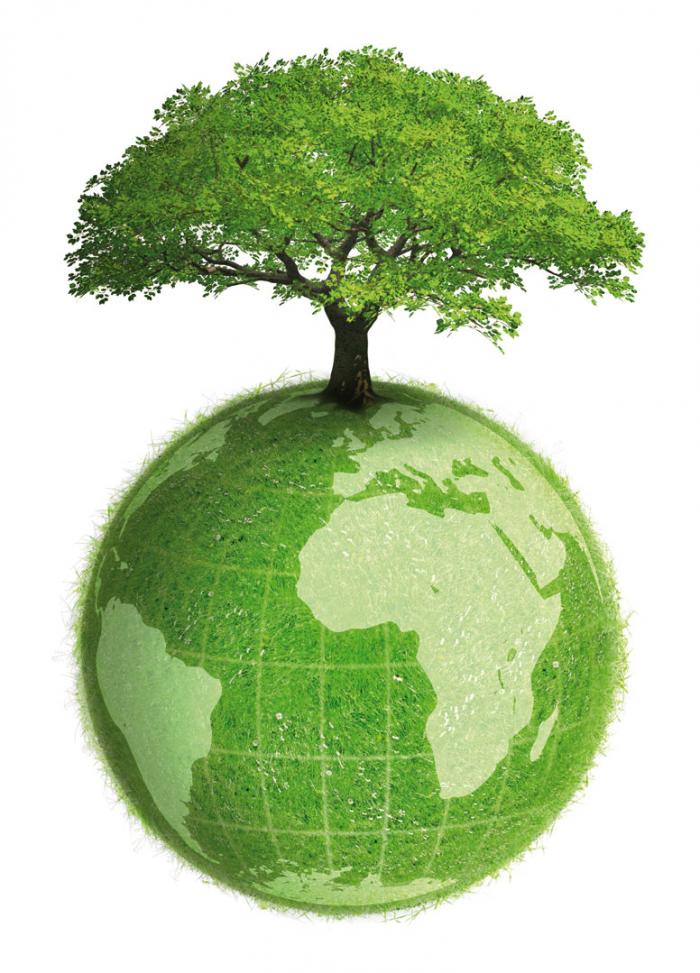 Contributi alla riforestazione