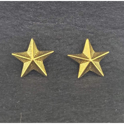 Tenente dell'Esercito Italiano Reggimento Artiglieria a c...