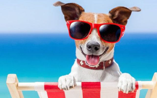 Non può vietarsi in assoluto l'accesso alla spiaggia con ...