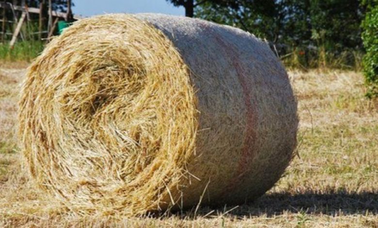 Balla di fieno in autostrada: l'auto per evitare l'im...