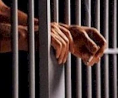 Patteggiamento e violenza sessuale.Condizioni. Congruita',