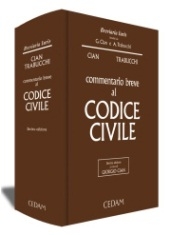 Questione di legittimità costituzionale dell’art. 81 bis dell...