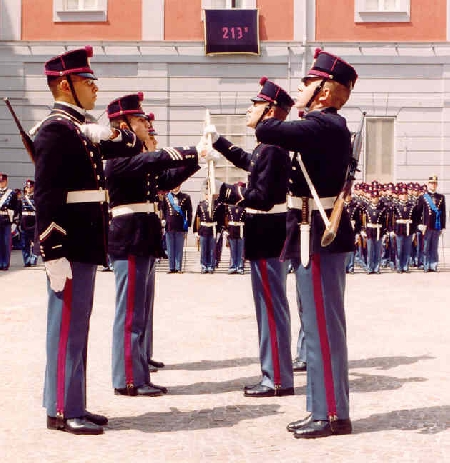 Insubordinazione militare. Il sindacato del giudice di legitt...