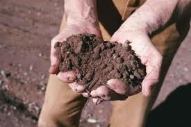 Imprenditore agricolo part time. Si anche con l'aiuto dello S...