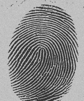 Un tedesco si oppone alla registrazione delle sue impronte di...