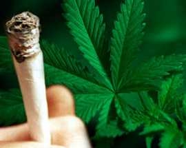 Trovato in possesso di 21 kg di marijuana detenuti all'intern...