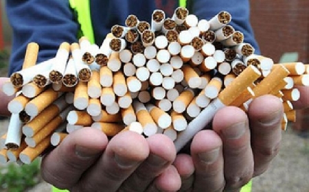Risponde di concorso in contrabbando di tabacchi lavorati est...