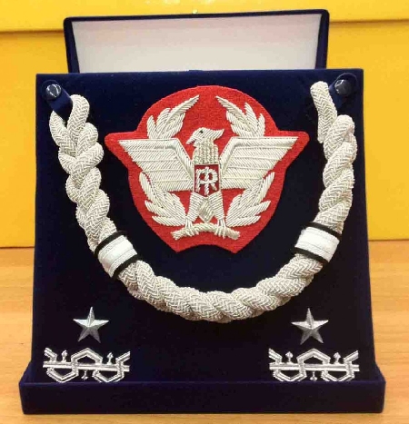 Colonnello della Guardia di Finanza partecipa all'avanzamento...