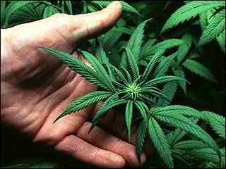 Associazione a delinquere se il fornitore di droga è sempre l...