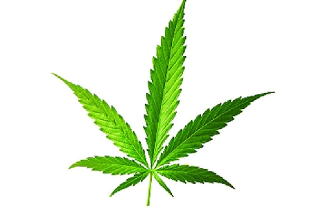 Lo spacciatore è inesperto anche se ha 400 grammi di hashish ...