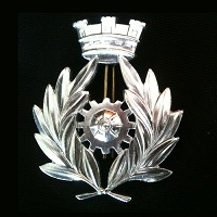 Esercito Italiano. Concorso per nomina diretta Corpo degli In...